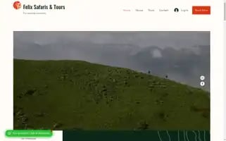 Felixsafarisandtours.com Screenshot 2024-04-24 09:59:24