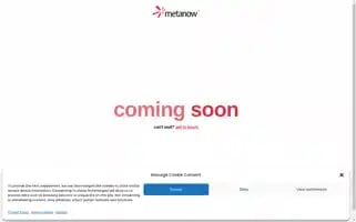 Metanow.dev Screenshot 2024-06-28 08:15:23