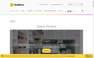 Gullebica.com Screenshot 2024-06-29 07:27:24