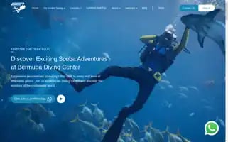 Scubadiving.ae Screenshot 2024-05-16 16:30:45