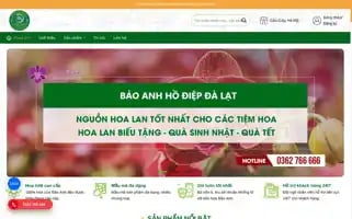 Lanhodiepbaoanh.com Screenshot 2024-05-28 16:01:28