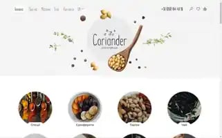 Coriandershop.com.ua Screenshot 2024-05-21 08:35:39