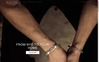 Regimeny.com Screenshot 2024-05-05 01:39:26