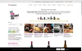 Levindevantsoi.com Screenshot 2024-06-12 15:36:52