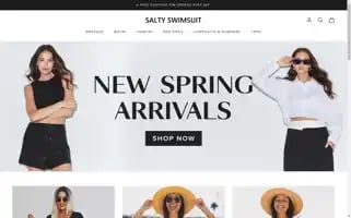 Saltyswimsuit.com Screenshot 2024-05-24 05:04:33