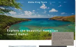 Alohakingtours.com Screenshot 2024-04-15 06:48:18