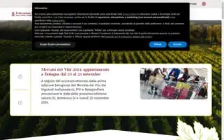 Fivi.it Screenshot 2024-06-28 13:12:52