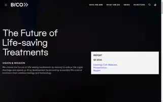 Bico.com Screenshot 2024-06-30 04:42:56