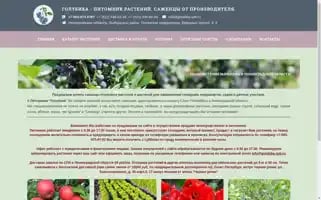 Golubika.spb.ru Screenshot 2024-05-19 06:06:23