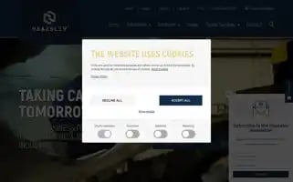 Haarslev.com Screenshot 2024-06-18 12:15:17