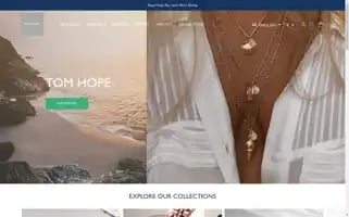 Thetomhope.com Screenshot 2024-05-04 13:06:40