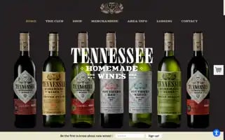 Tnhomemadewines.com Screenshot 2024-06-14 01:10:48