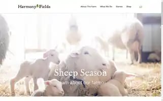 Harmonyfields.com Screenshot 2024-06-12 06:56:27