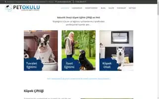 Petokulu.com Screenshot 2024-07-04 00:04:27