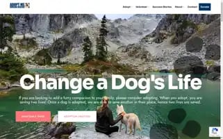 Adoptmekoreanrescue.org Screenshot 2024-04-26 05:40:26