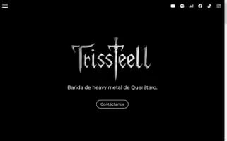Trissteell.com Screenshot 2024-05-24 14:06:53