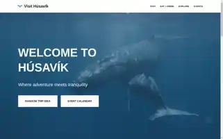 Visithusavik.com Screenshot 2024-07-02 04:56:07