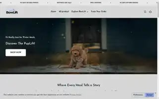 Bowlift.com Screenshot 2024-05-03 20:42:16