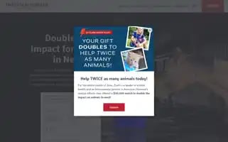 Americanhumane.org Screenshot 2024-06-13 20:41:44