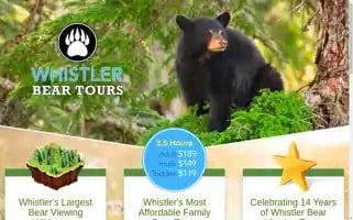 Whistlerbeartours.com Screenshot 2024-04-25 05:21:53