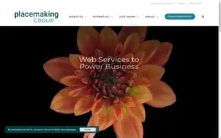 Placemakinggroup.com Screenshot 2024-07-04 09:50:37