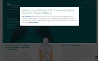 Expressionsystems.com Screenshot 2024-06-11 05:04:20