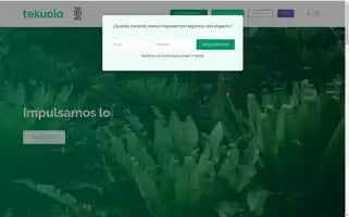 Tekuoia.com Screenshot 2024-07-02 17:45:37