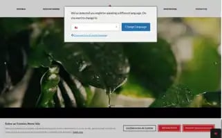 Deltacafes.com Screenshot 2024-07-04 13:51:34