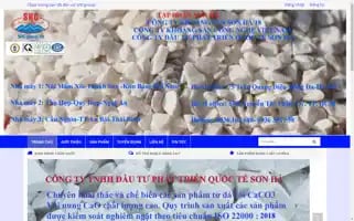 Shcgroup.vn Screenshot 2024-06-17 17:52:12