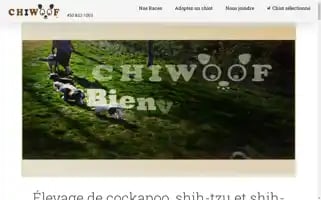 Chiwoof.ca Screenshot 2024-05-27 19:34:32