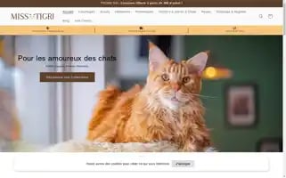 Miss-tigri.com Screenshot 2024-05-03 16:50:54