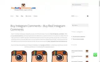 Buyrealigcomments.com Screenshot 2024-06-29 22:34:42