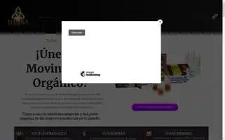 Blissreborn.site Screenshot 2024-05-25 19:20:08
