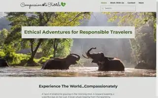 Compassionatetravels.com Screenshot 2024-04-23 06:29:01