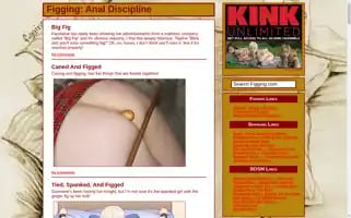 Figging.com Screenshot 2024-07-07 02:40:40