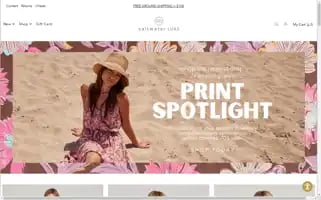 Saltwaterluxe.com Screenshot 2024-05-05 19:12:10