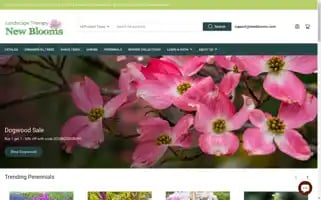 Newblooms.com Screenshot 2024-05-05 12:22:03