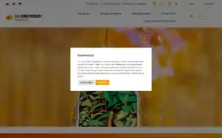 Daskunstmuseum.at Screenshot 2024-06-26 03:11:29