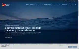 Snp.org.pe Screenshot 2024-06-13 18:02:24