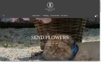 Joeannacaffrey.ie Screenshot 2024-06-11 18:38:21
