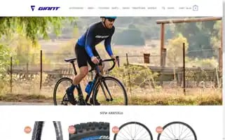 Riding-giant.com Screenshot 2024-05-26 11:00:09