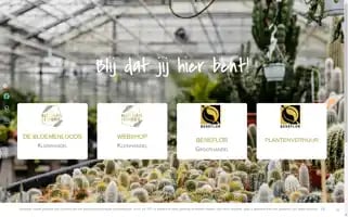 Verkoop-en-plantenverhuur.be Screenshot 2024-06-11 05:01:26