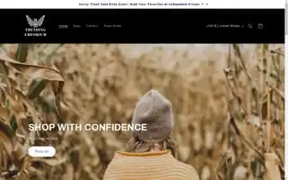 Thetrendingemporium.com Screenshot 2024-05-03 18:54:28