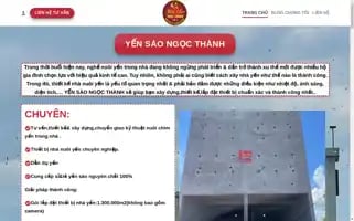 Yensaongocthanh.com Screenshot 2024-05-28 20:35:40