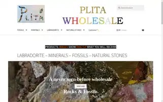Plitawholesale.com Screenshot 2024-05-28 23:14:01