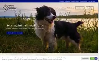 Sebringanimalhospital.com Screenshot 2024-06-17 13:39:52