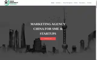 Seoagencychina.com Screenshot 2024-05-13 21:19:44