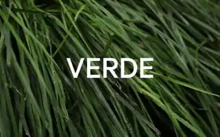 Verde.io Screenshot 2024-07-03 19:10:56