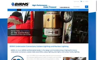 Birnsstage.wpenginepowered.com Screenshot 2024-07-01 16:58:28