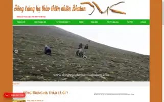 Vietnamtraveldesk.com Screenshot 2024-04-15 00:41:56